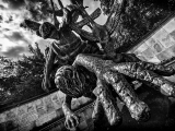 children-of-lir_