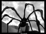 Tarantula
