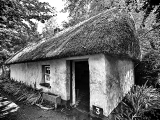 thatched-hut