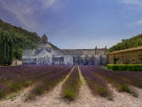 abbaye-de-senanque