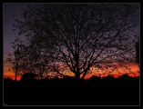hyde_park_sunset.jpg