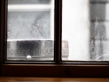 after-the-rain