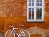 orangewhite